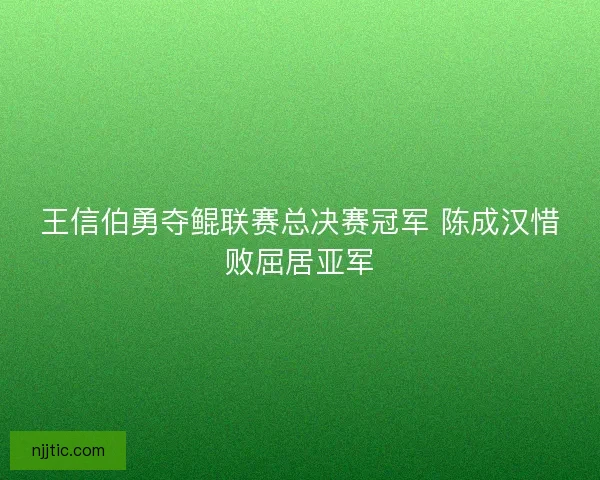 王信伯勇夺鲲联赛总决赛冠军 陈成汉惜败屈居亚军
