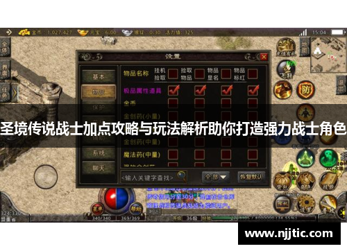 圣境传说战士加点攻略与玩法解析助你打造强力战士角色